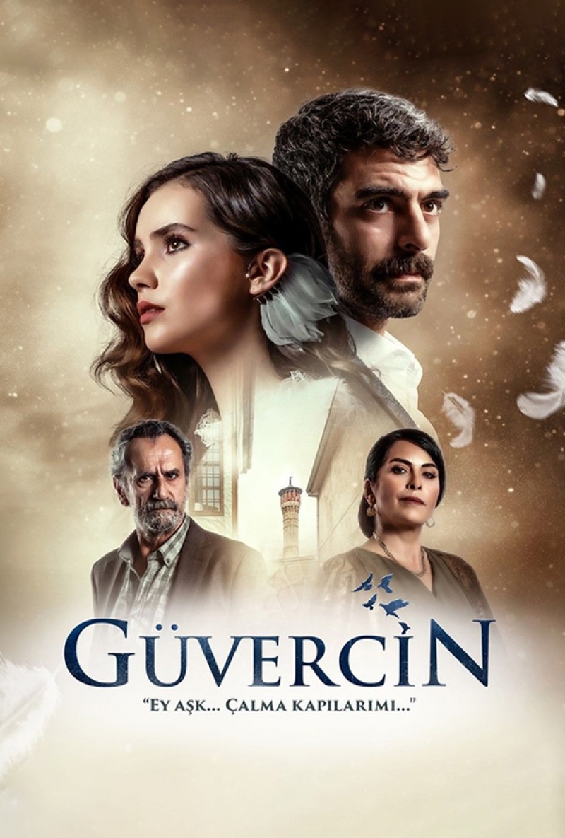 Güvercin Afiş